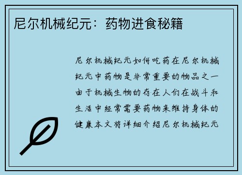 尼尔机械纪元:药物进食秘籍